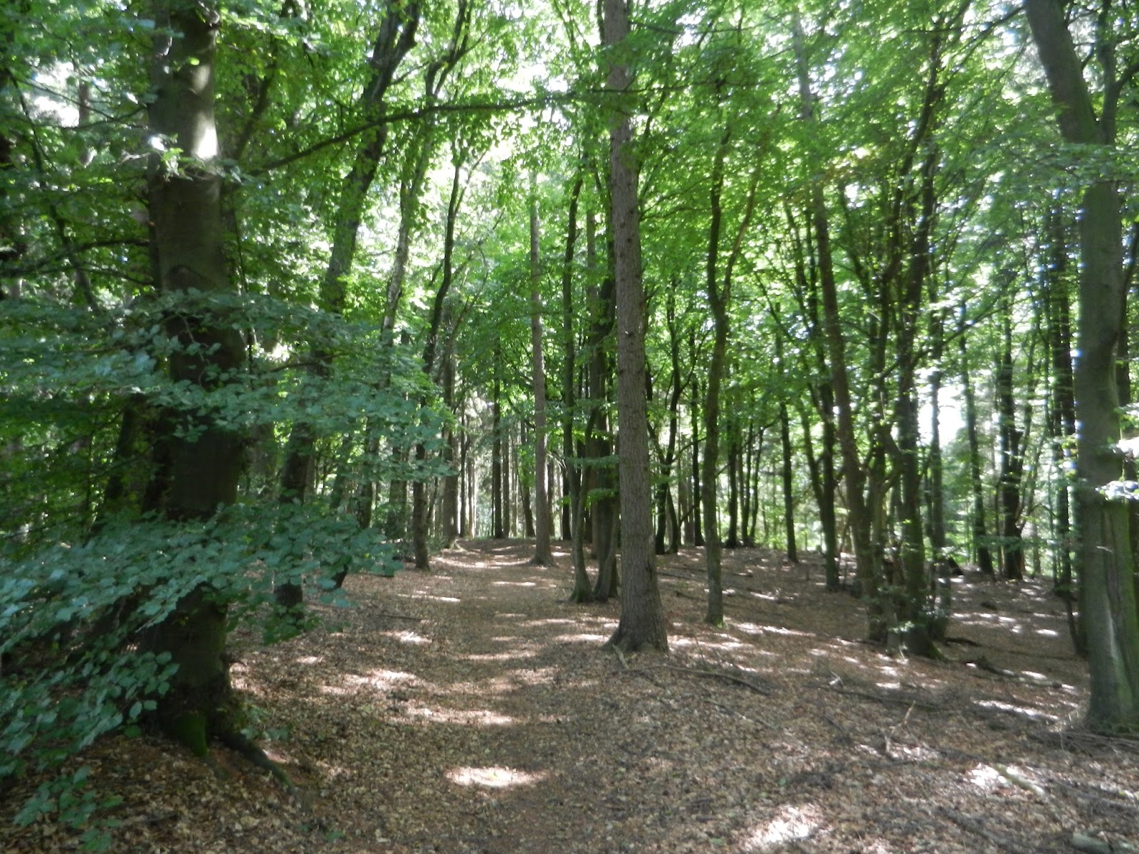 Hotel Dock Inn Hostel Warnemunde Fashion Whisper Bloglovin