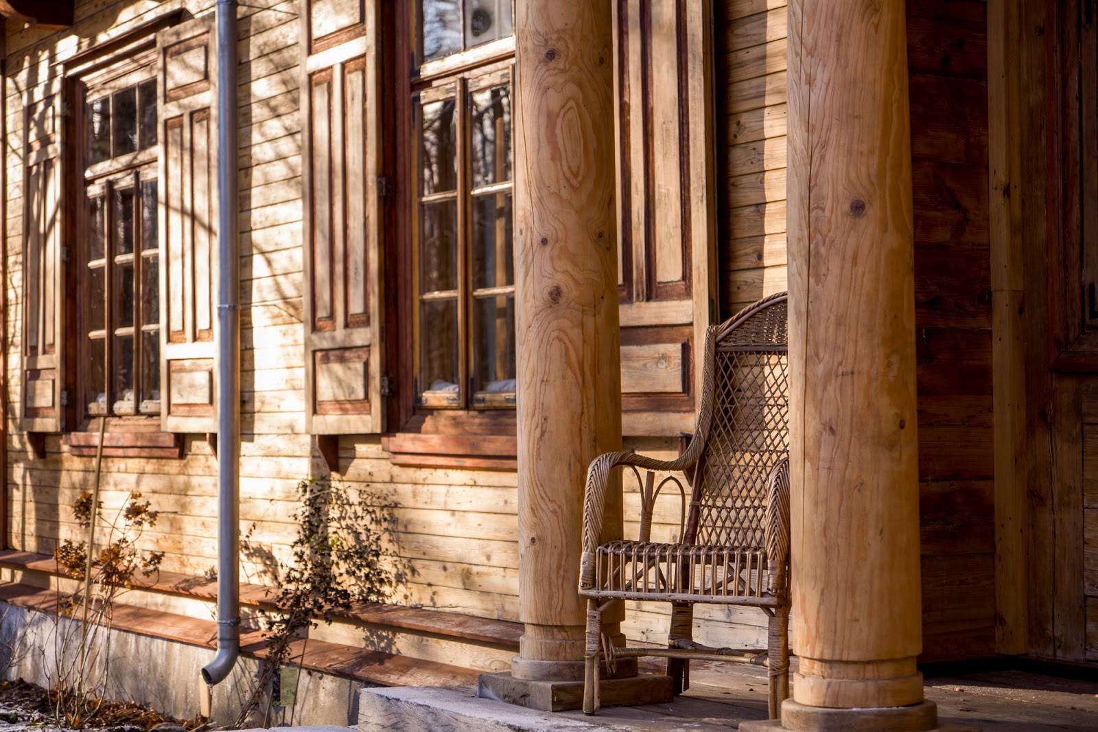 Gwiazdka w Puszczy - Ania w Podróży