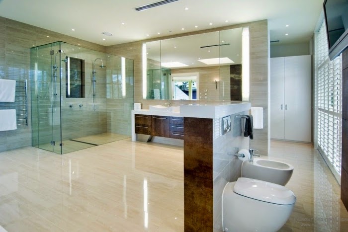 bathroom-design-ideas-geographic-scope-of-the-toilet-separated-by-a-parapet