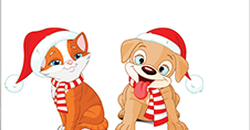 Holiday Cat &amp; Dog | Symbols &amp; Emoticons