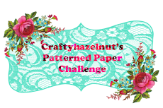 CHNS Patterned Paper Challenge