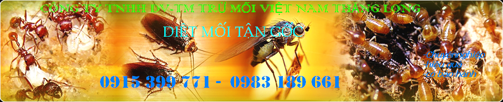 DIỆT MỐI HÀ TÂY