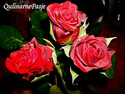 . i Dnia Kobiet przez cały okrągły rok :) Dla Was kochani te kwiaty ♥ (kopia)