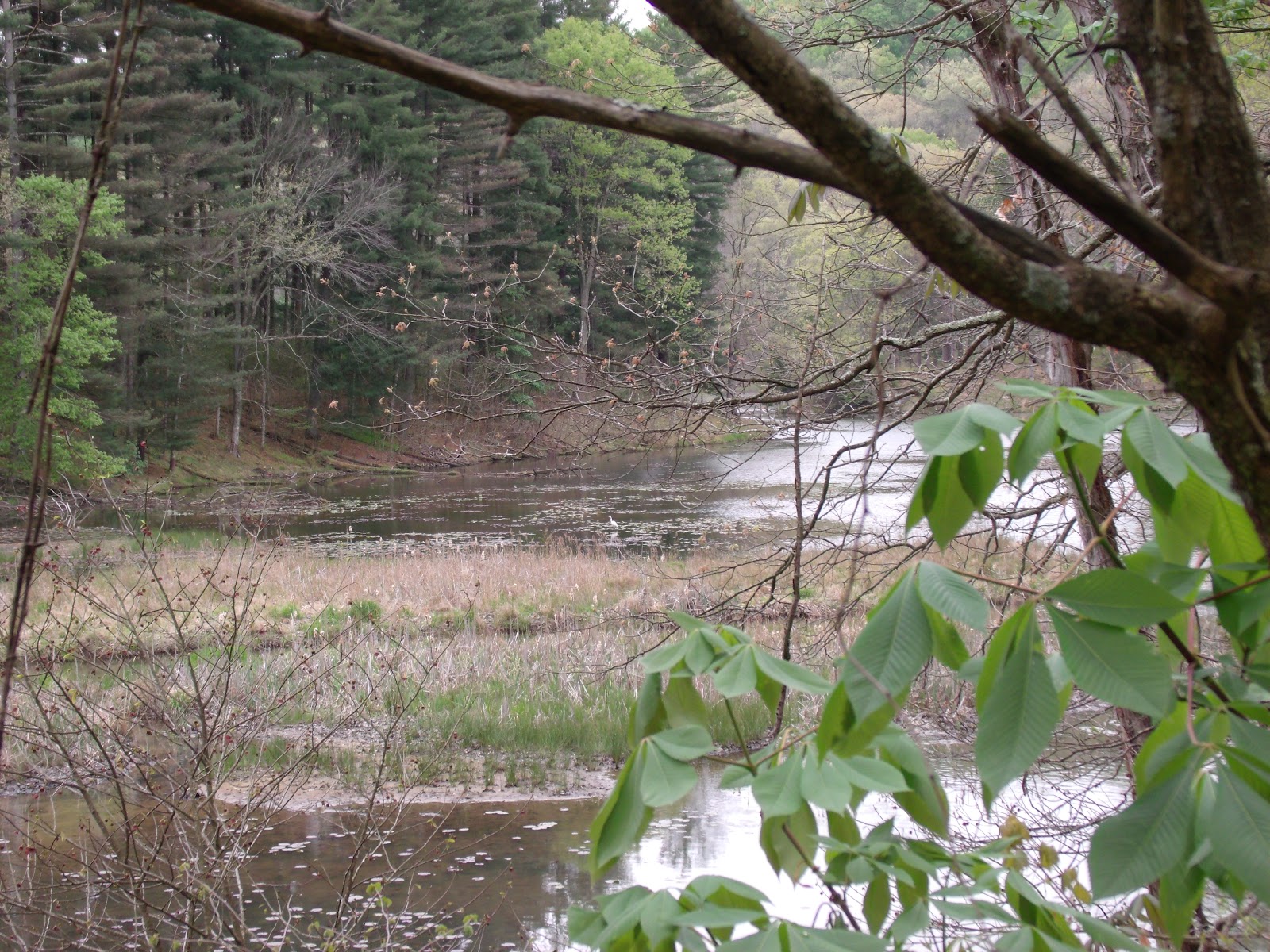Zaleski State Forest Zaleski, Ohio Lauer's Been There Done That U.S