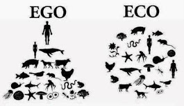 Ego vs. Eco