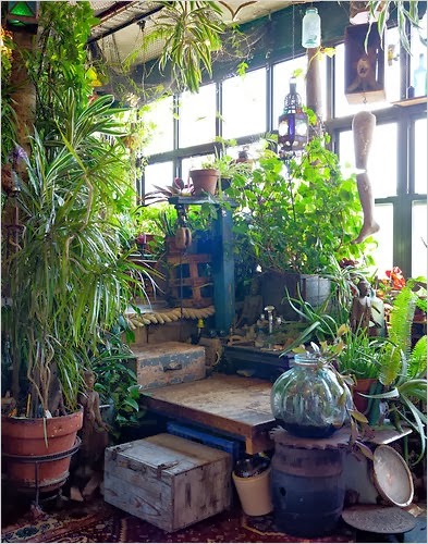 marycot: Jardín interior