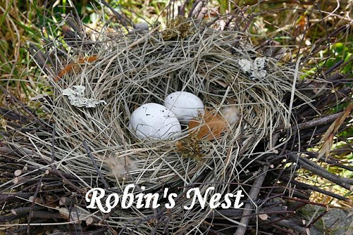 Robin's Nest