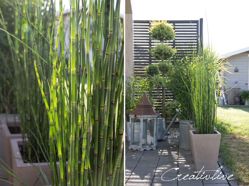 Gewinner und Einmal durch den Garten creativLIVE