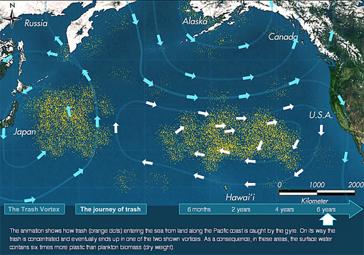 National Science Foundation Pacific Garbage Patch