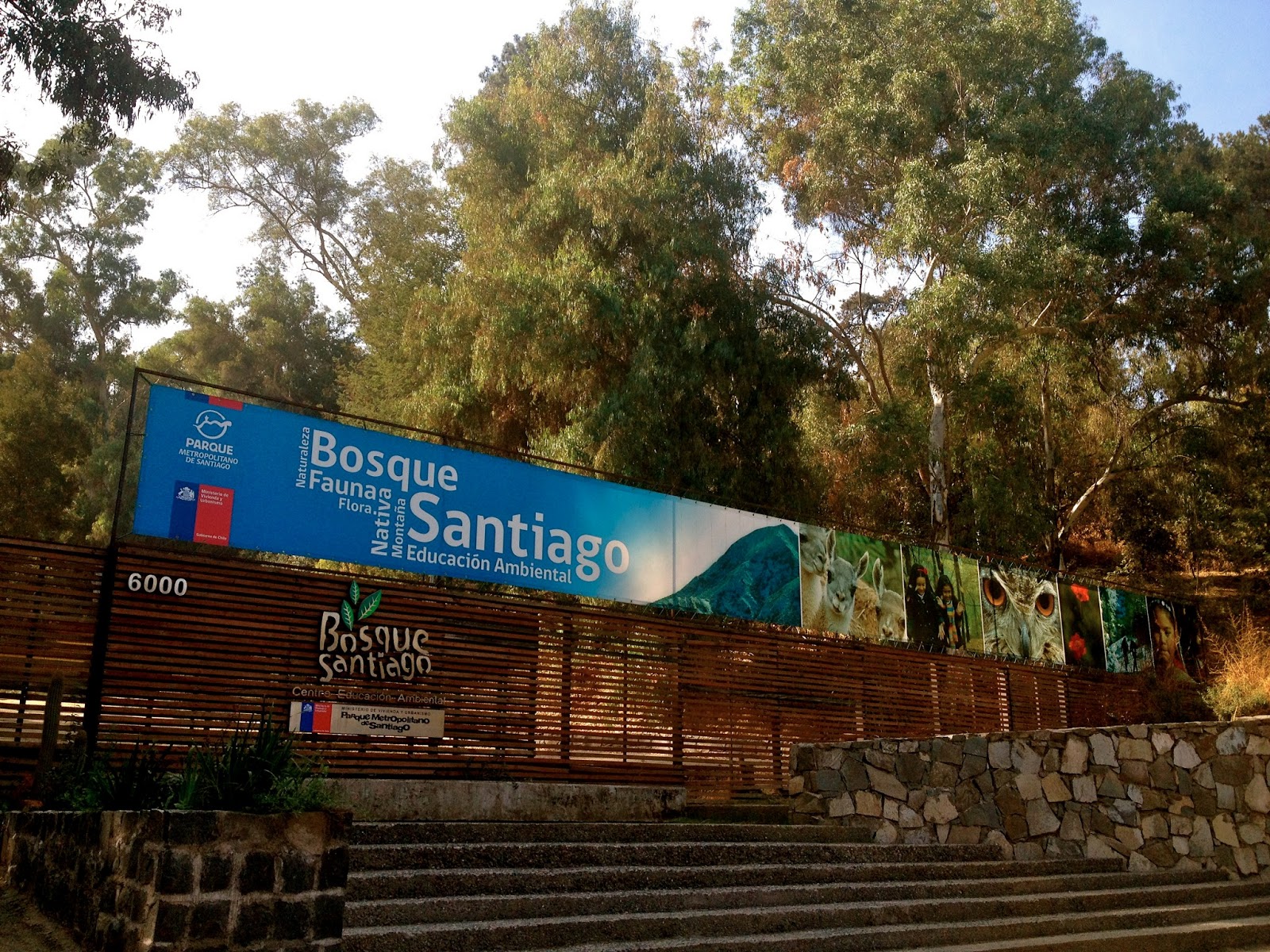 chilenizarse Práctica en el Bosque Santiago