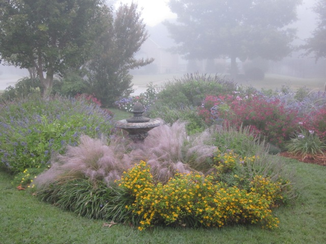 misty morning muhly gardens regal signature grass pink mist november foggy