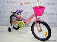 3 Special Edition 18 Inch Wimcycle Mini Jolly with Basket, Bag and Carrier