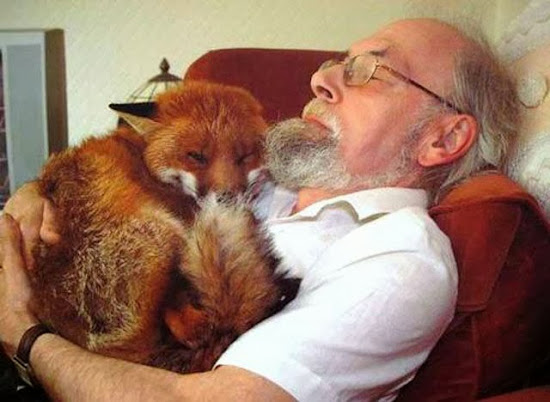 When Humans and Animals Get Along