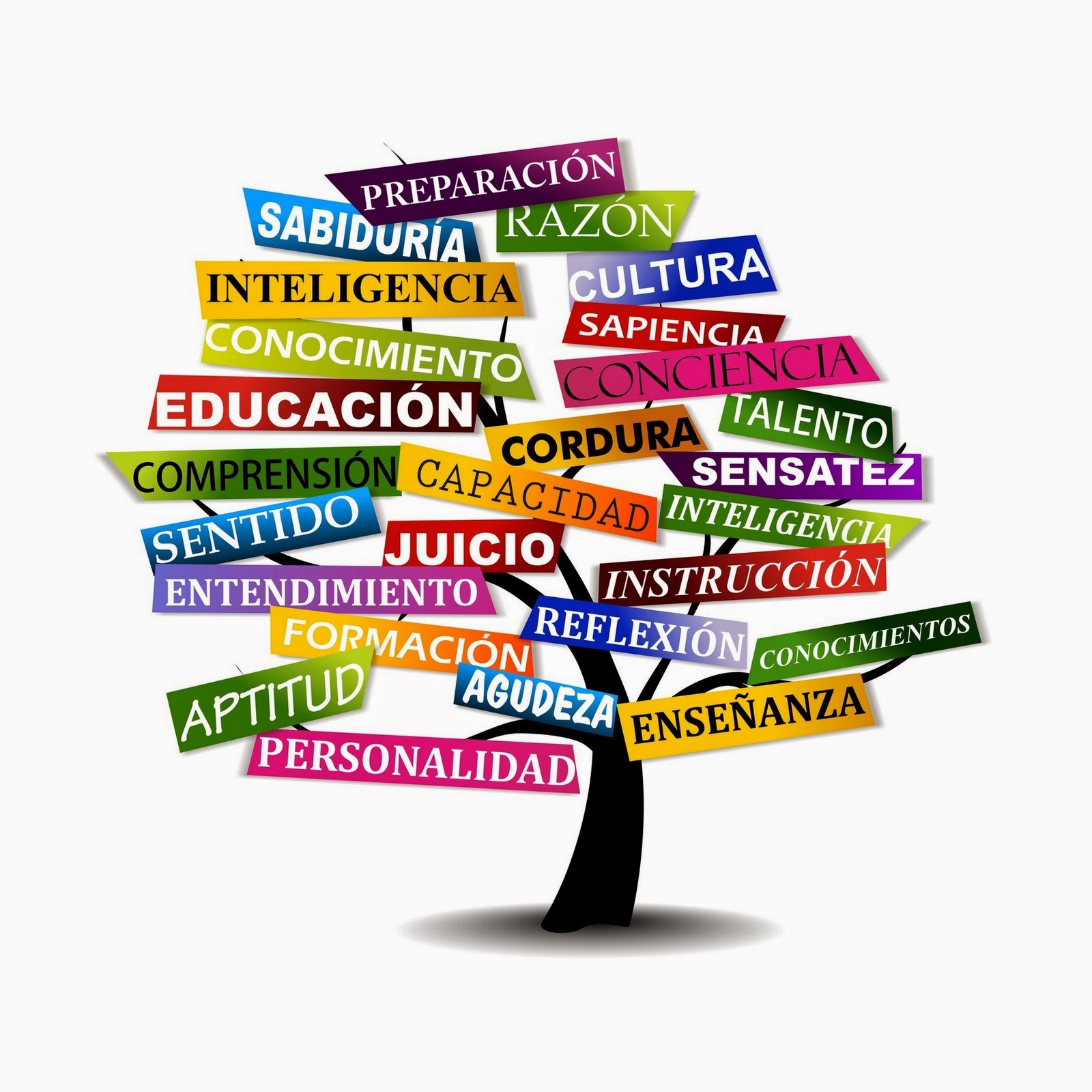 Proyectos transversales parra indicadores