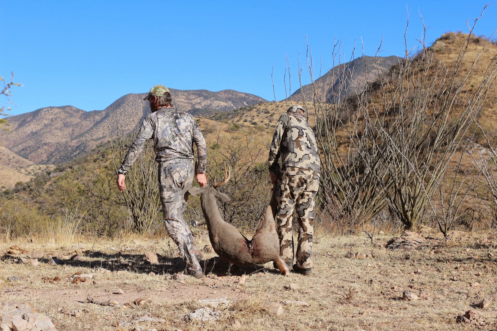 Packing+a+Coues+Deer+out+after+a+successful+hunt+in+Sonora+Mexico+with+Colburn+and+Scott+Outfitters+Photo+and+picture+4.JPG