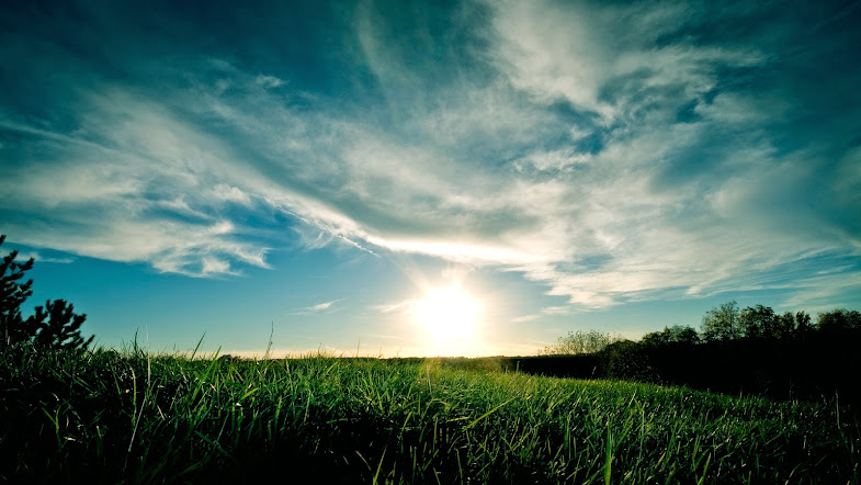 download free live wallpaper download free wallpapers for android phone