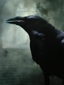 Corvus Corax (The Raven)