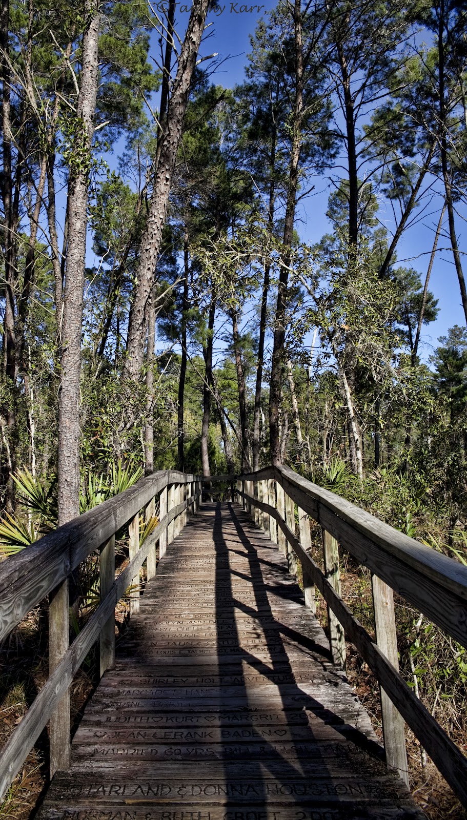 Birding Is Fun! Touring the Trail