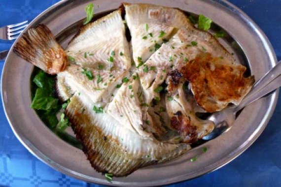 BİLGİ MERAKLILARININ ADRESİ… KALKAN BALIĞI AMANDIN