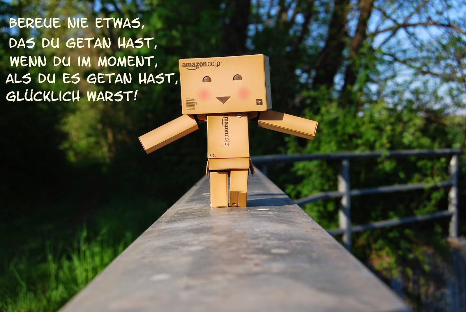 Danbo Fan Kartonmannchen Danbo Mit Spruchen Teil 2