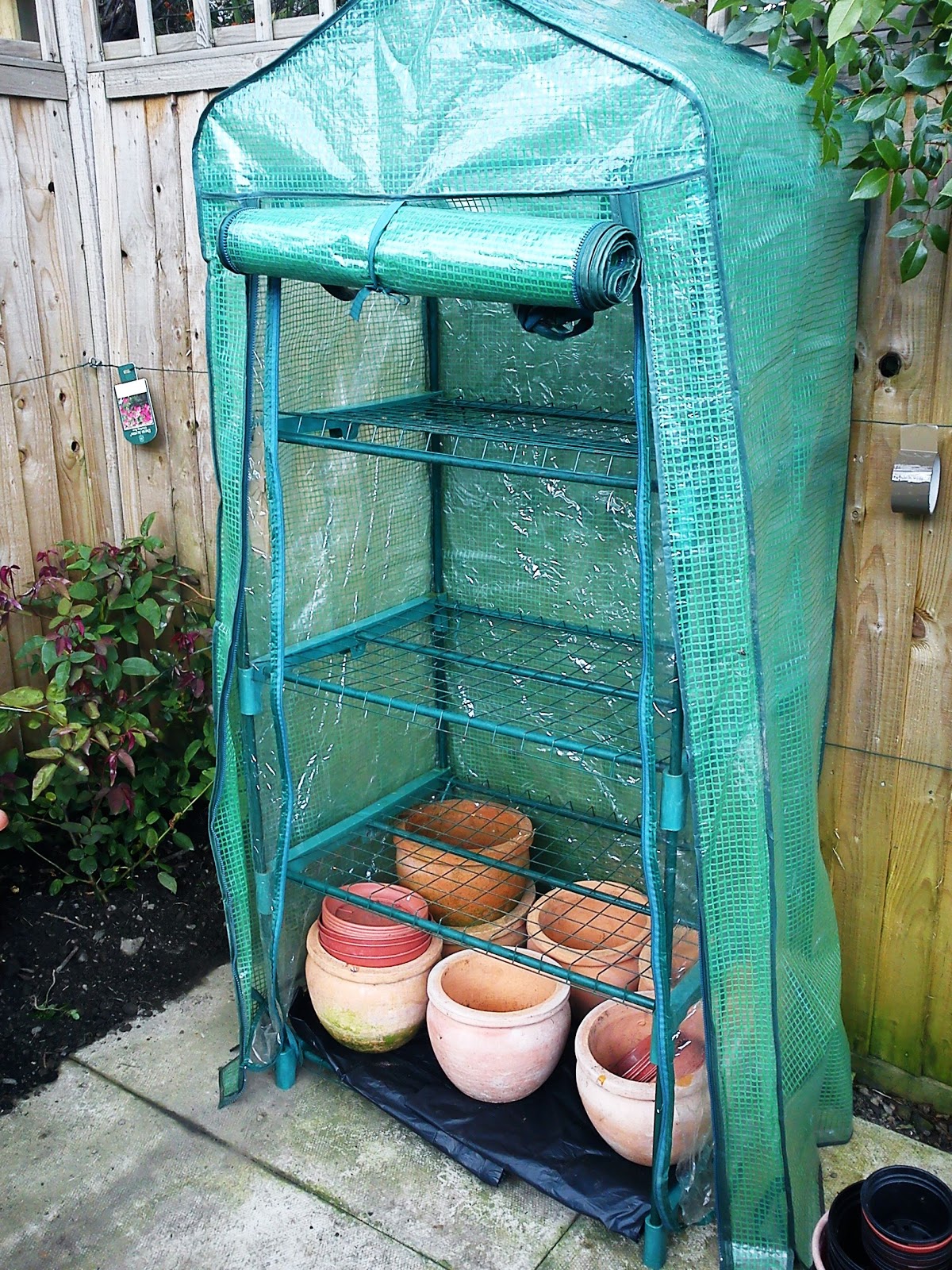 MINIGREENHOUSE & STRAWBERRIES GARDENER'S WORD