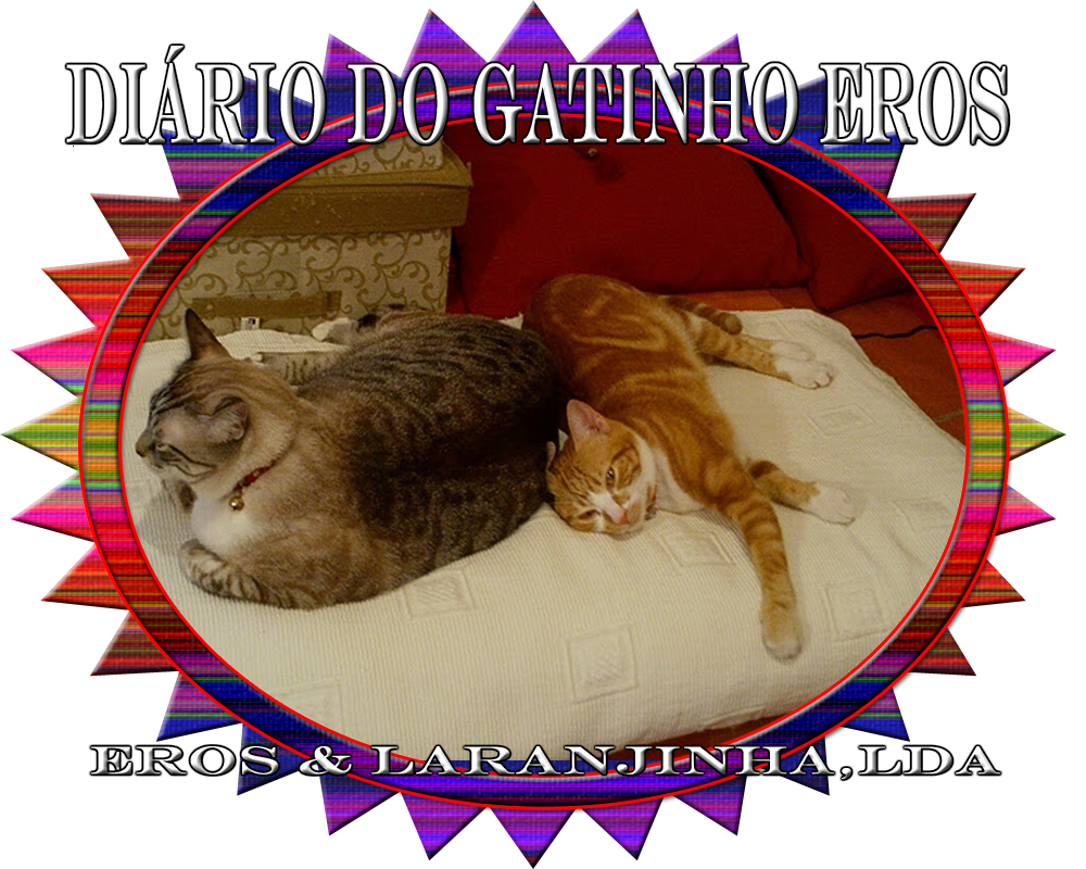 O DIÁRIO DO GATINHO EROS - 2012 (Este diário contém em arquivo todo o ano 2009, 2010, 2011 e 2012))