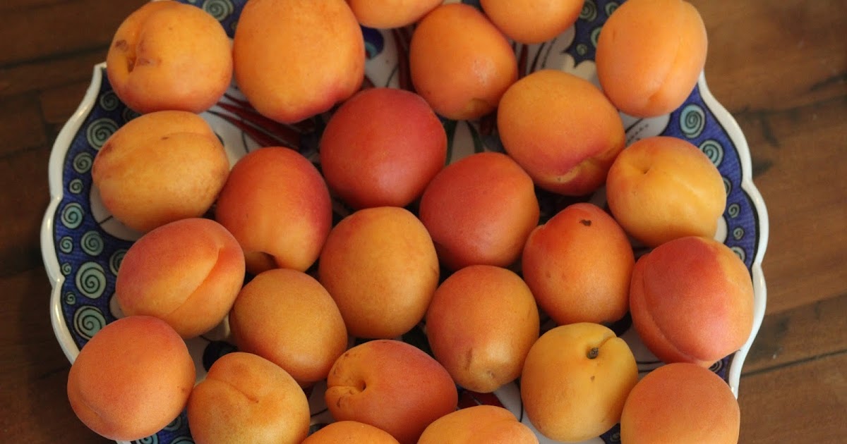 Food and Hearth Apricot Vanilla Bean Jam