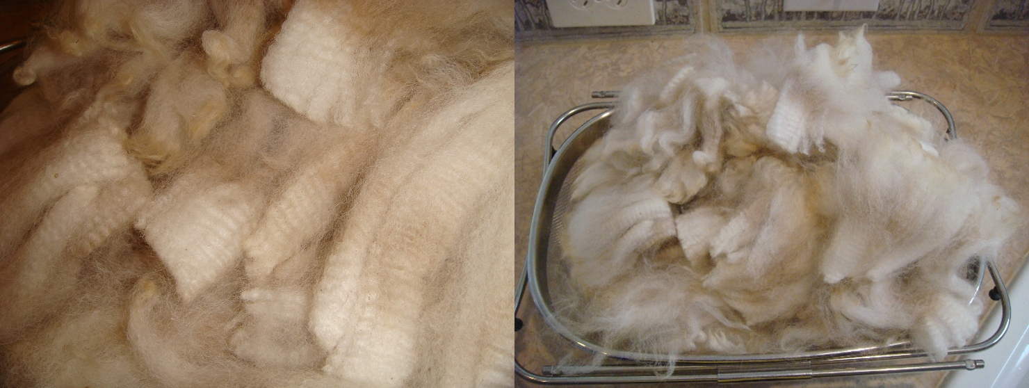 News from Autumn Sun Alpacas Washing Alpaca Fiber...