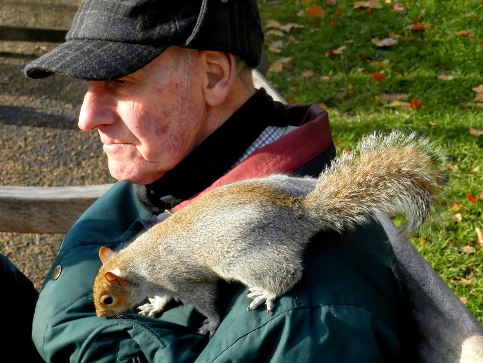 The blog of Irina Bulmaga Squirrels attacking