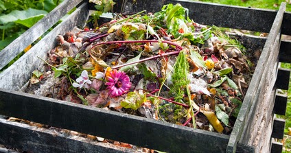 ¡3 sencillos pasos para fabricar tu propio compost! ~ Guía para plantar