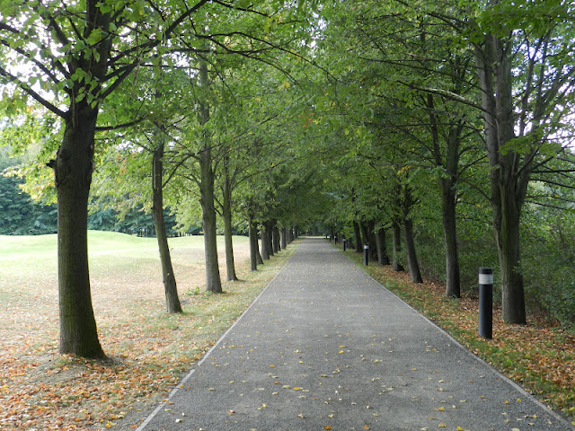 DSCN3473.JPG