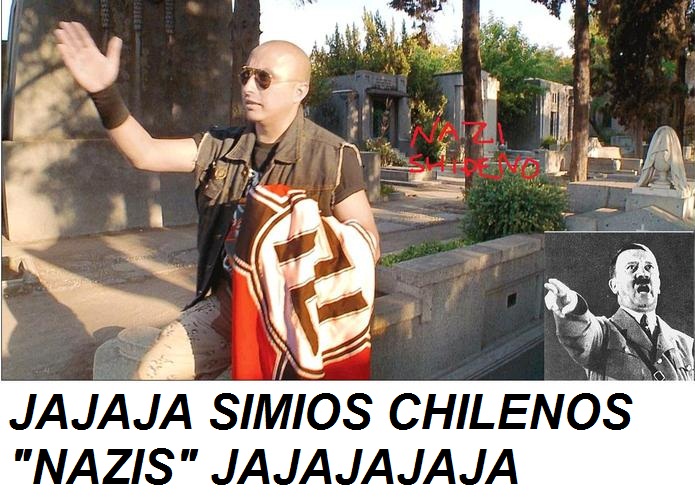 HOLA CHOLOS BESTIAS DE MIERDA, HE VENIDO A EMPALARLOS NAZIS+SIMIOS+CHILENOS.jpg