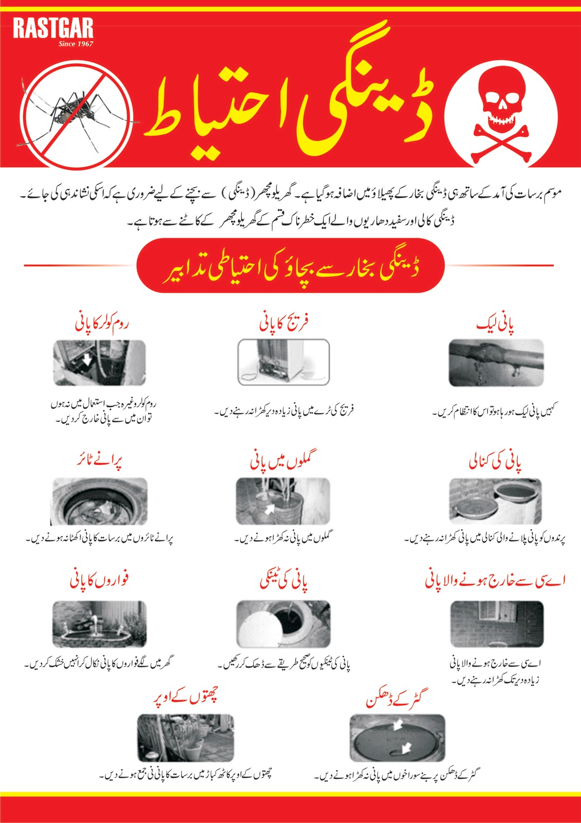 Dengue Poster