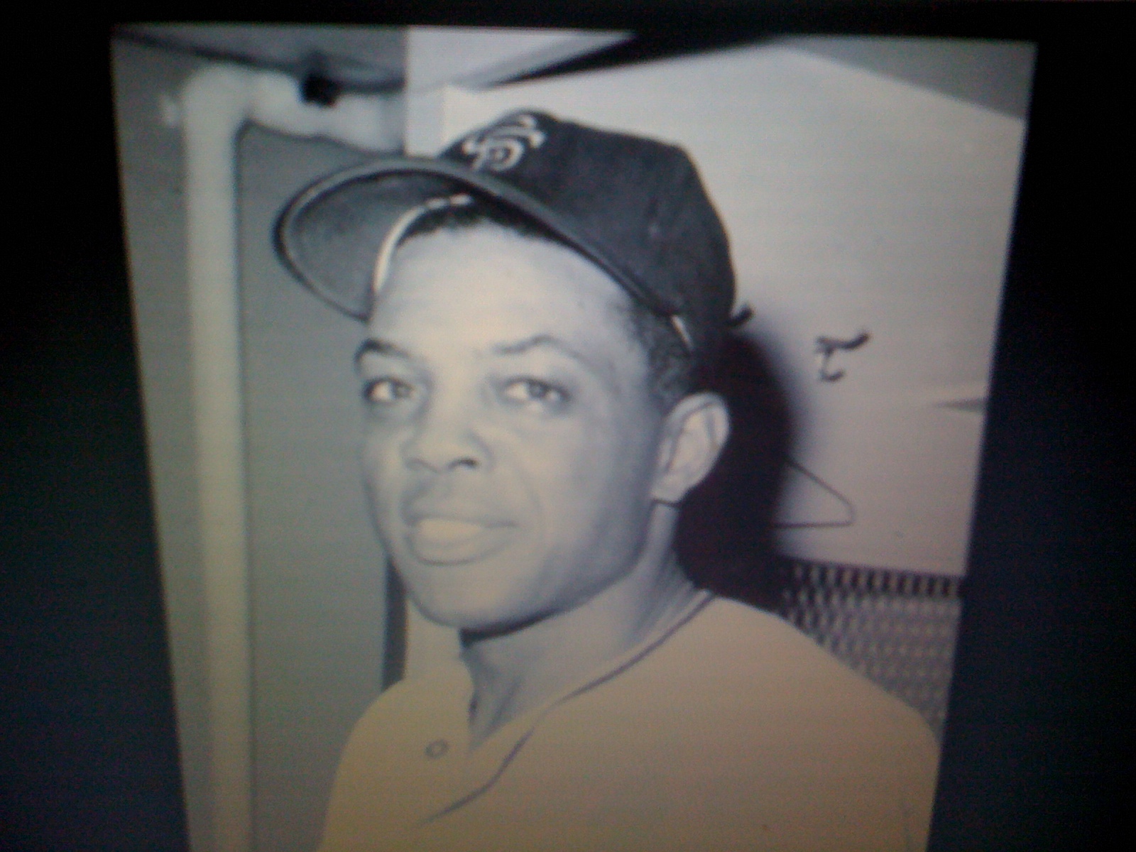 THE BLACK SOCIAL HISTORY BLACK SOCIAL HISTORY AFRICAN AMERICAN PROFESSIONAL BASEBALL PLAYER