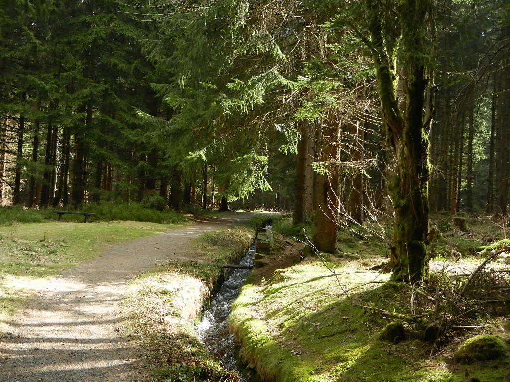 Sonnenuntergangstour Im Harz Der Goetheweg Auf Den Brocken