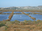 las salinas