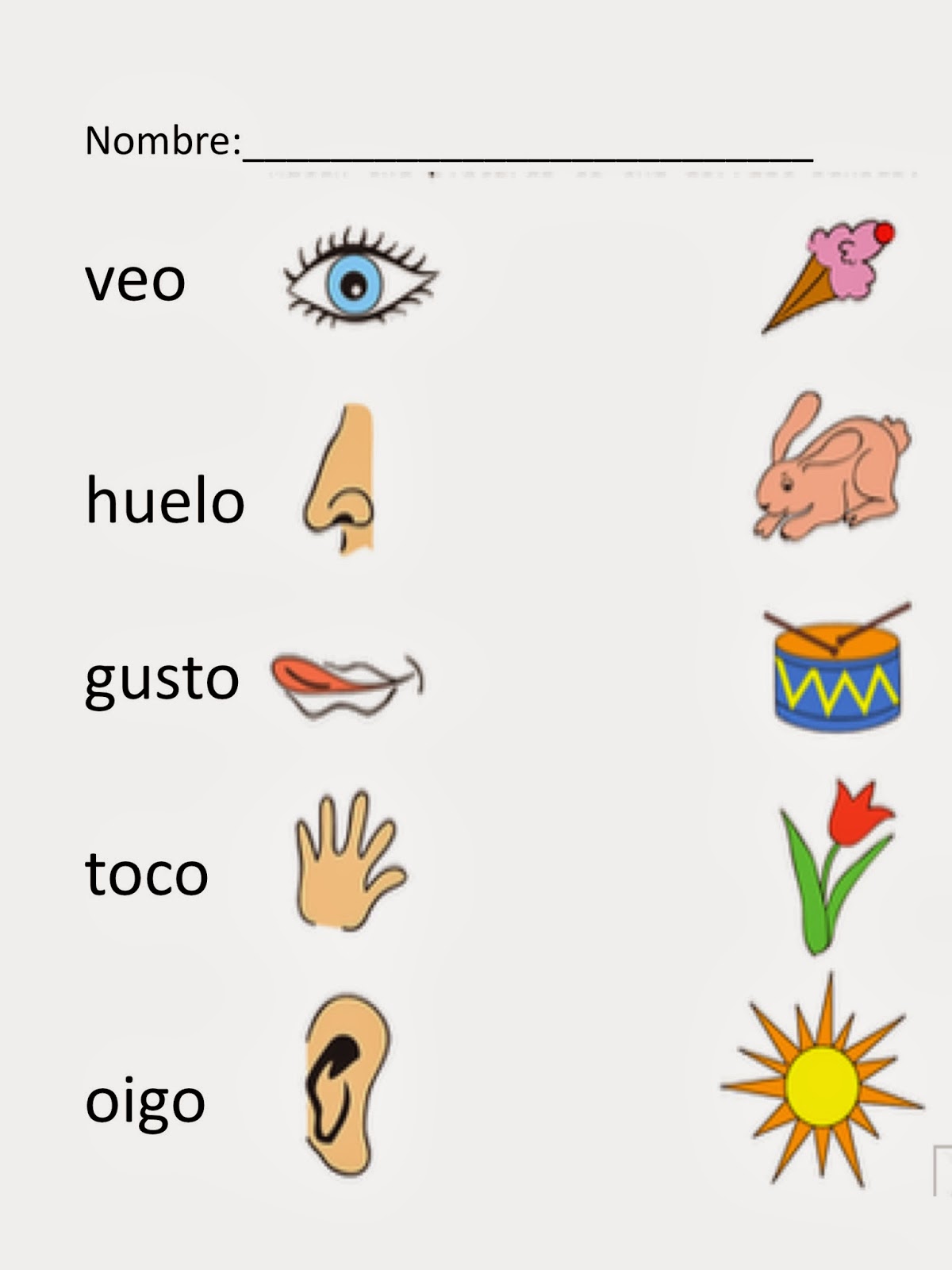 Worksheets Five Senses Worksheet For Kindergarten 5 senses in spanish cinco sentidos simply i put this worksheet a plastic sheet protector and had students use dry erase markers with partner one would call out of the fi