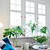 Beautiful Scandinavian Apartment Design with Natural Green Touch