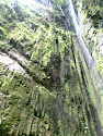 Cascada Hilos de Color