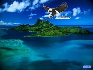 "beautiful island" "island" "green island" "eagle flying over island" "sea and island" "sea" "beautiful sea scene"