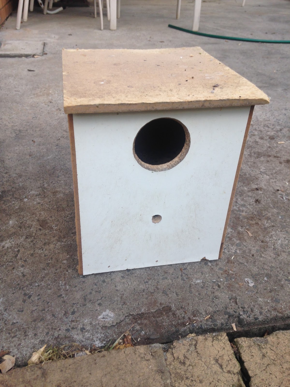 Parrot Breeding Green Cheeked Conure Nesting Box