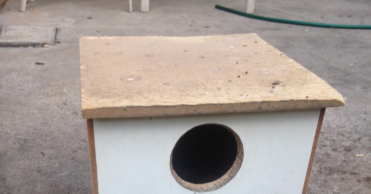 Parrot Breeding Green Cheeked Conure Nesting Box