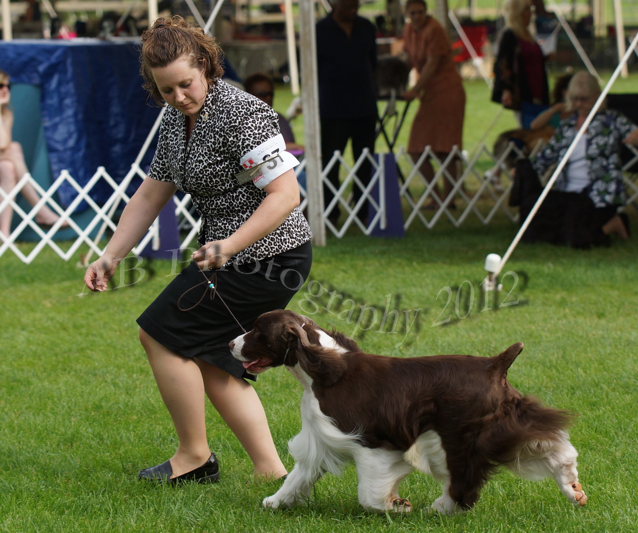 AB Photography Freehold Shows 5/245/27