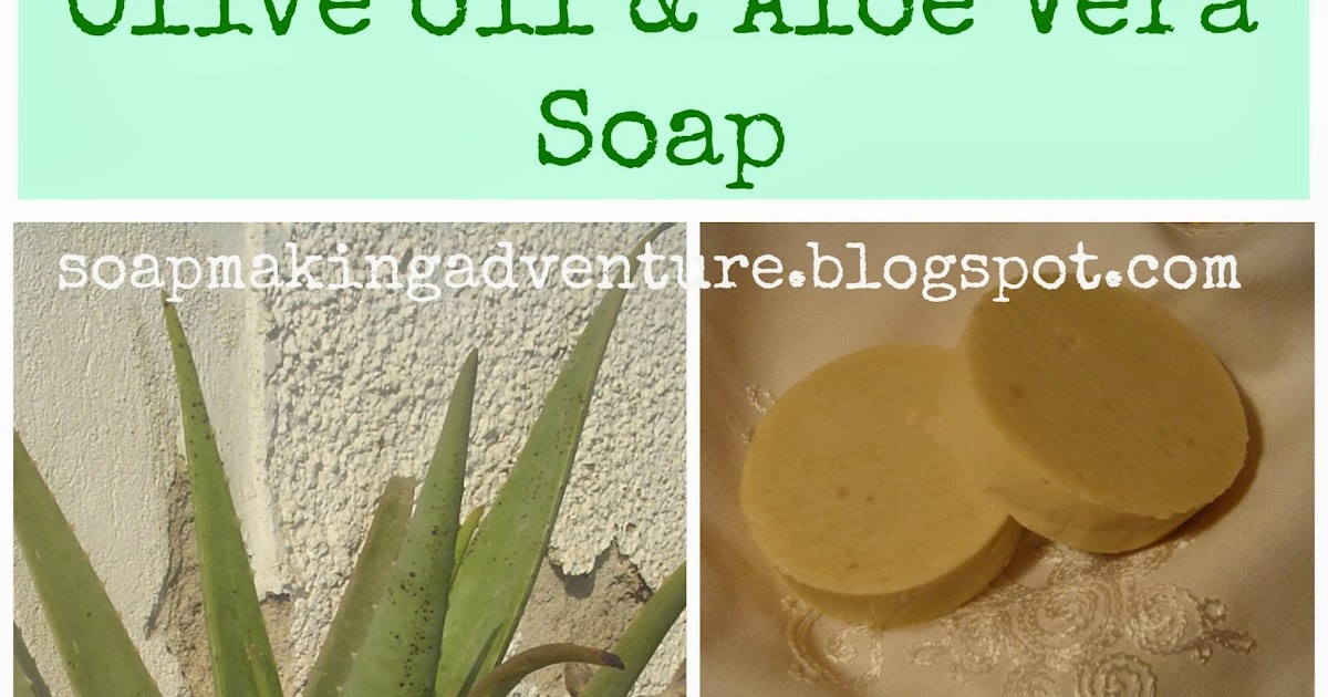 Soap Making Adventure Olive oil & Aloe Vera soap