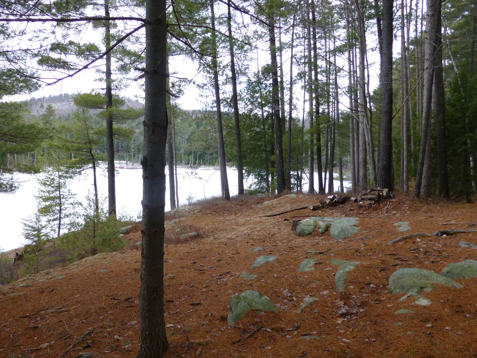 Off on Adventure Pole Hill Pond Lake Wild Forest 3/13/13