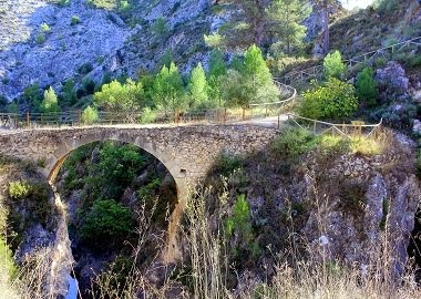 El pont del camí del Salt.