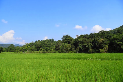 Pokhara Chitwan yolu