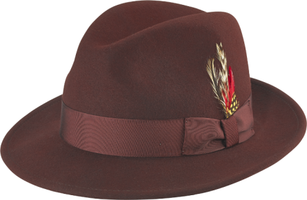 Classic wide brim Fedora hat