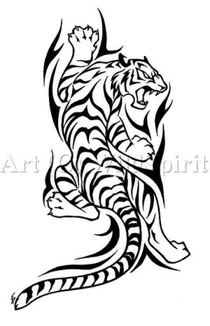 Tiger Tattoos For Girls. tribal tiger tattoos