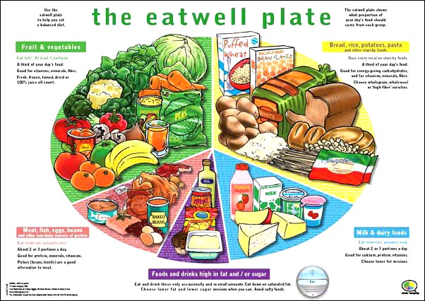 Healthy+eating+plate+for+children